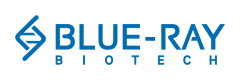 Blue-Ray Biotech_Logo_2024_RGB_blue